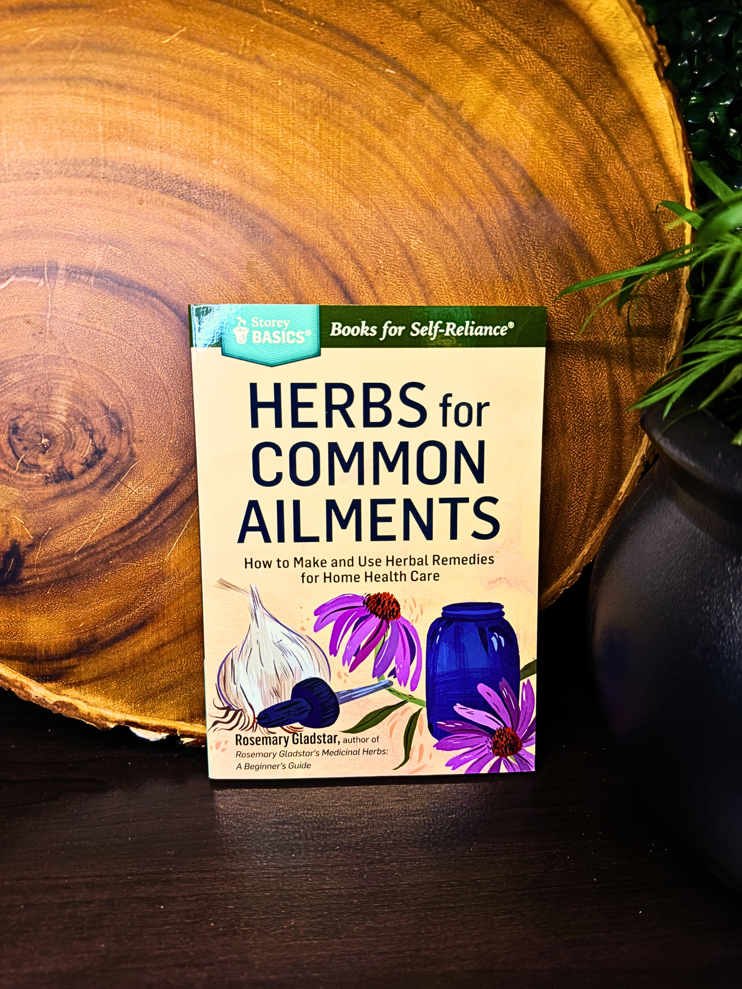 Herbs for Common Ailments - How to make and use herbal remedies for home health care