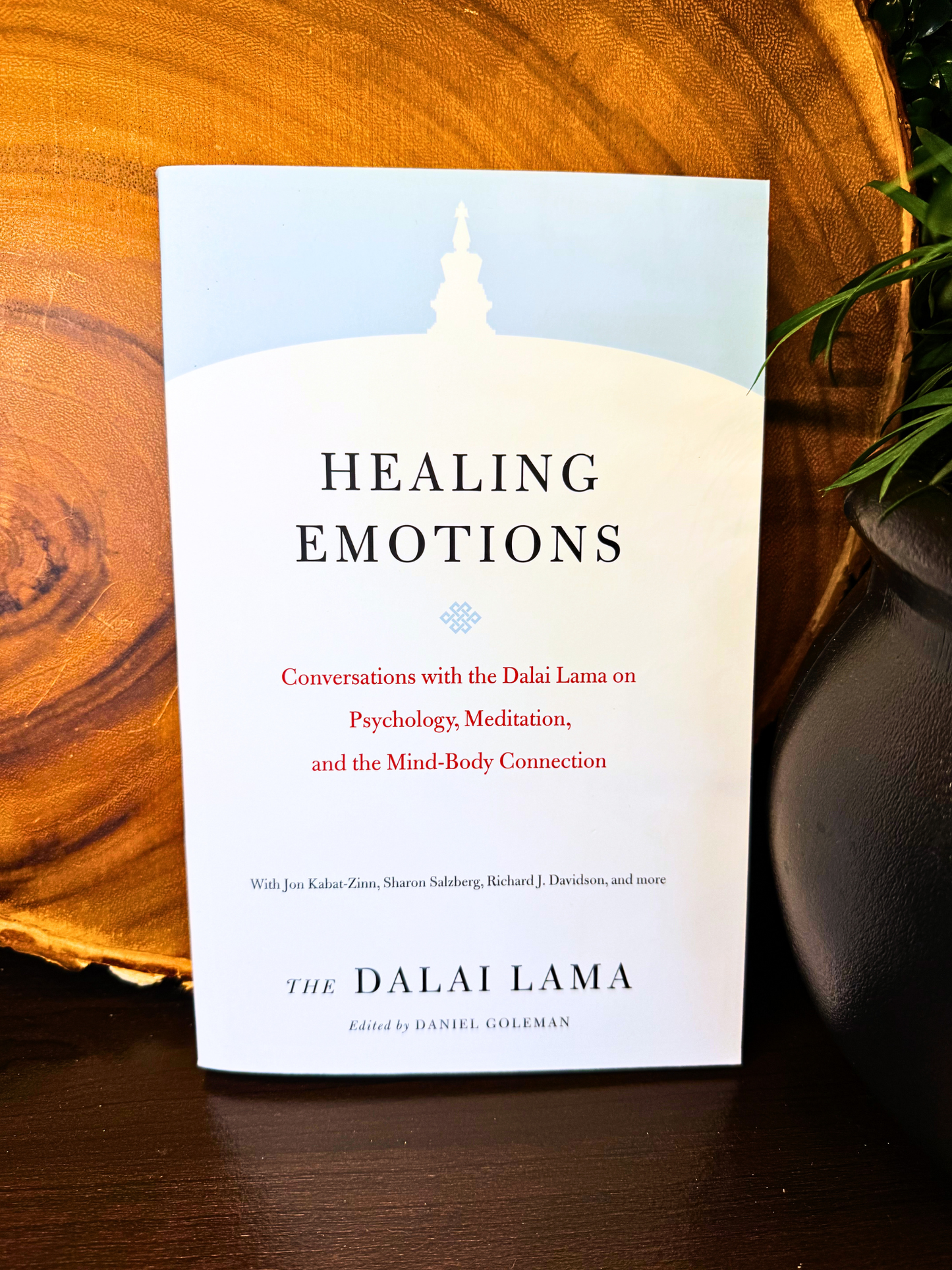 Healing Emotions: Conversations with the Dalia Lama on Psychology, Meditation, and the Mind-Body Connections
