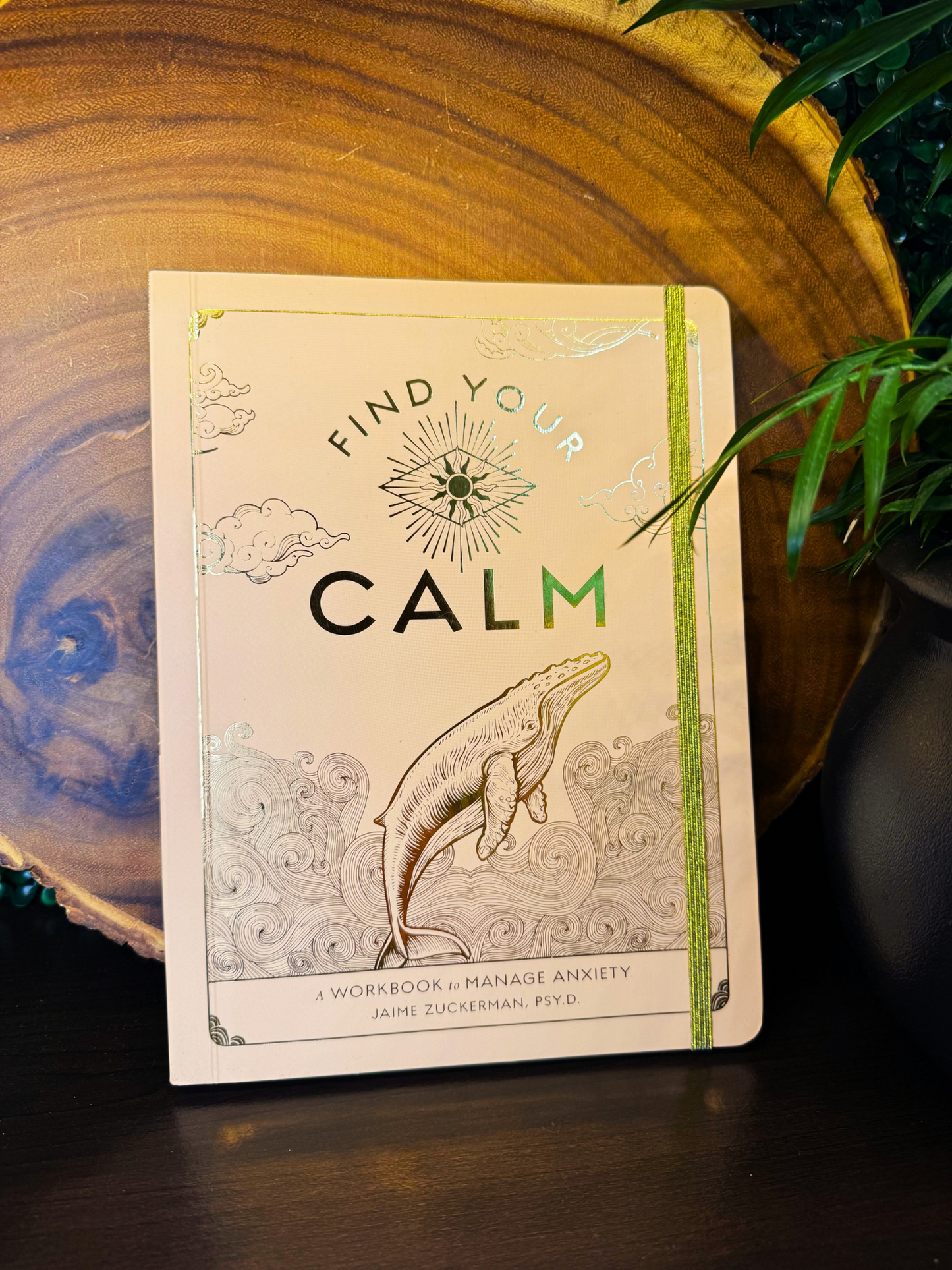 Find your Calm: A Workbook to Manage Anxiety